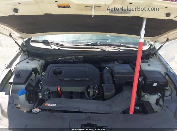 5NPE24AF2GH312425 2016 HYUNDAI SONATA White Widok z tyłu