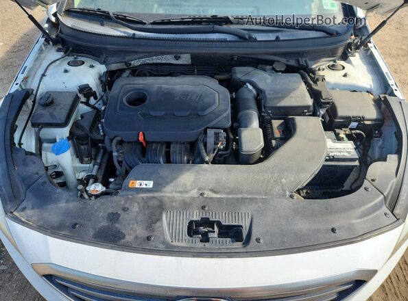5NPE24AF2GH312652 2016 HYUNDAI SONATA White Vista interior trasera