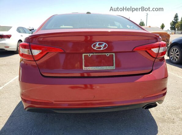 5NPE24AF2GH320024 2016 HYUNDAI SONATA Burgundy Rear view