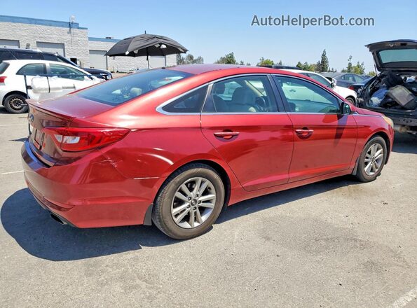 5NPE24AF2GH320024 2016 HYUNDAI SONATA Burgundy Rear right