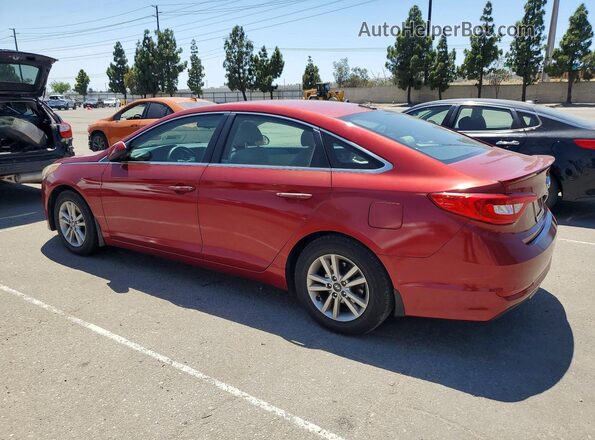 5NPE24AF2GH320024 2016 HYUNDAI SONATA Burgundy Rear left