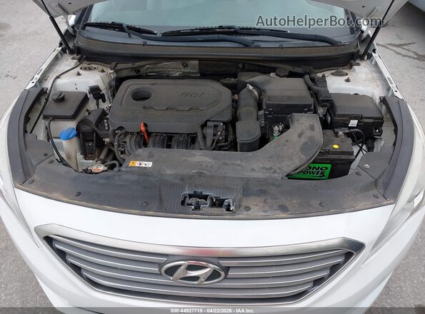 5NPE24AF2GH321027 2016 HYUNDAI SONATA Белый Вид сзади