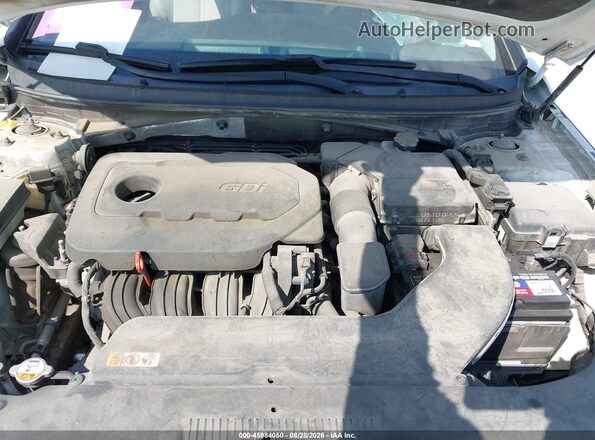 5NPE24AF2GH353301 2016 HYUNDAI SONATA White Հետևի տեսք