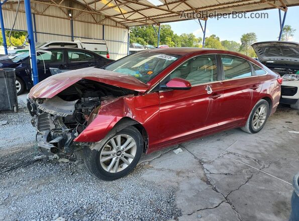 5NPE24AF2GH384418 2016 HYUNDAI SONATA Red Задня ліва чверть