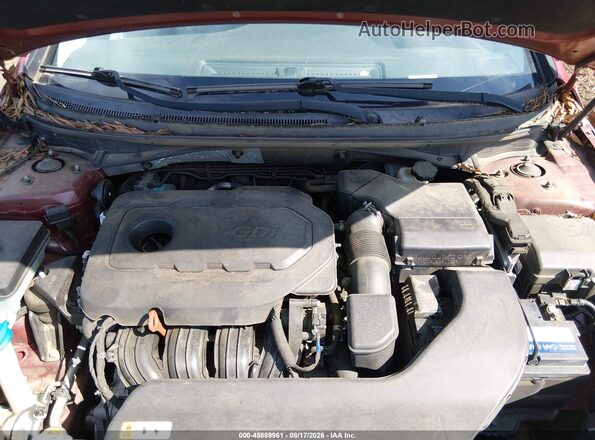 5NPE24AF2GH418017 2016 HYUNDAI SONATA Red Widok z tyłu