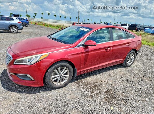 5NPE24AF2GH430409 2016 HYUNDAI SONATA Red უკანა მარცხენა