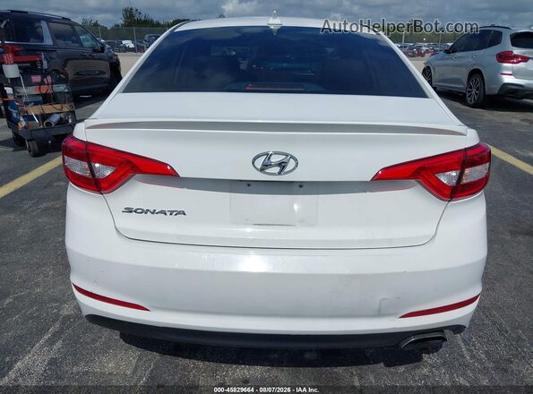 5NPE24AF2HH544511 2017 HYUNDAI SONATA Белый 