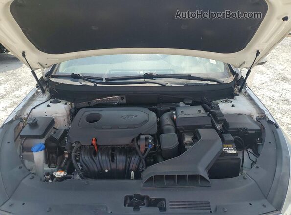 5NPE24AF2KH770538 2019 HYUNDAI SONATA White Rear interior view