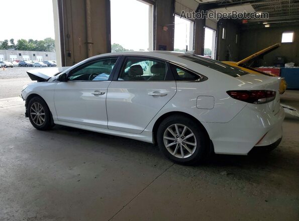 5NPE24AF2KH810830 2019 HYUNDAI SONATA White Հետևի ձախ