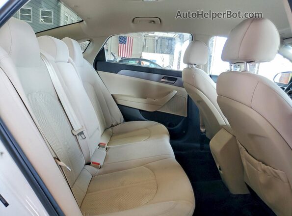 5NPE24AF2KH810830 2019 HYUNDAI SONATA White Հետևի նստատեղերի տեսք