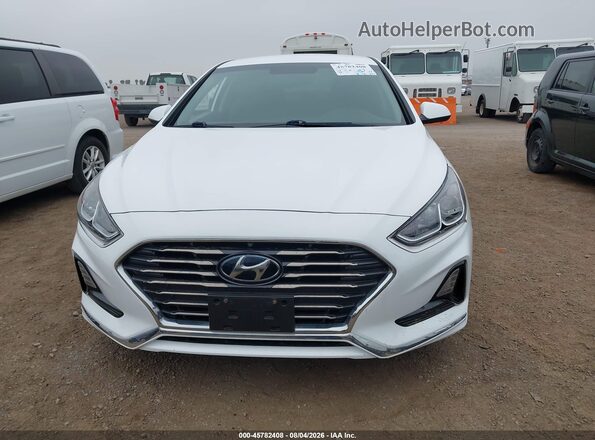 5NPE24AF2KH814912 2019 HYUNDAI SONATA Белый Вид задней части салона