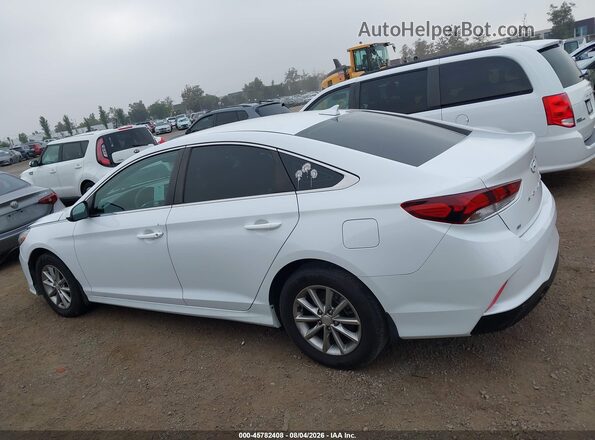 5NPE24AF2KH814912 2019 HYUNDAI SONATA Белый 