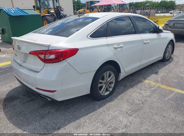 5NPE24AF3GH303782 2016 HYUNDAI SONATA White Задня права чверть