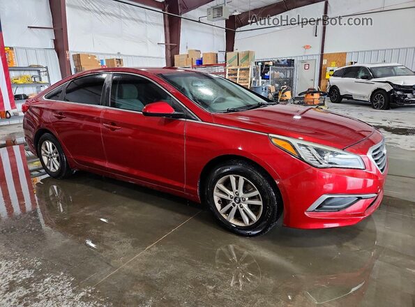5NPE24AF3GH334921 2016 HYUNDAI SONATA Maroon Delantero derecho