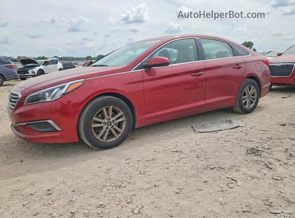5NPE24AF3GH340735 2016 HYUNDAI SONATA Red უკანა მარცხენა