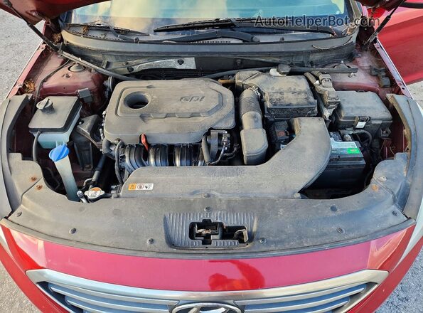 5NPE24AF3GH379857 2016 HYUNDAI SONATA Красный Вид задней части салона