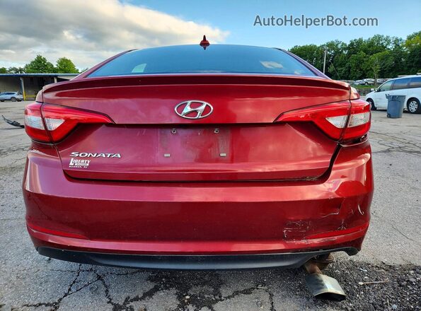 5NPE24AF3GH379857 2016 HYUNDAI SONATA Красный Вид сзади