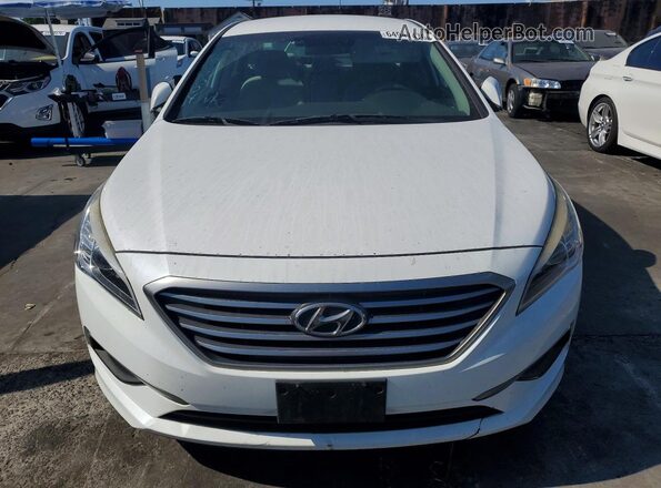 5NPE24AF3GH397517 2016 HYUNDAI SONATA White Դիմացի տեսք