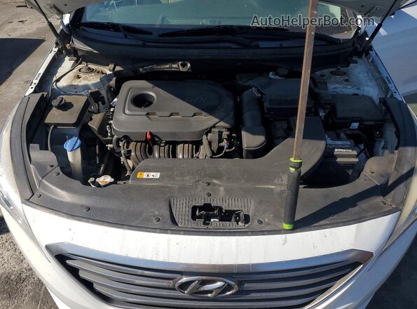 5NPE24AF3GH397517 2016 HYUNDAI SONATA White Սալոնի հետևի տեսք