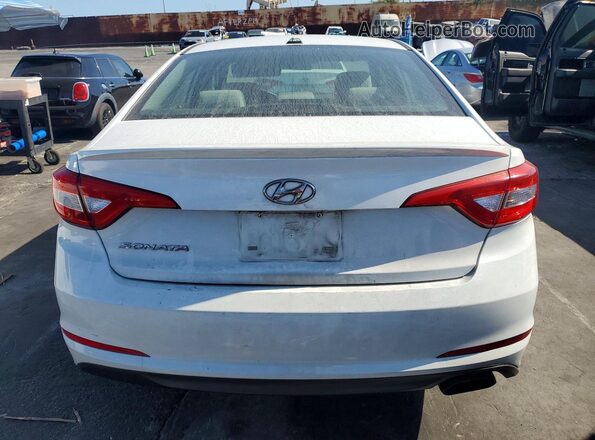5NPE24AF3GH397517 2016 HYUNDAI SONATA White Հետևի տեսք