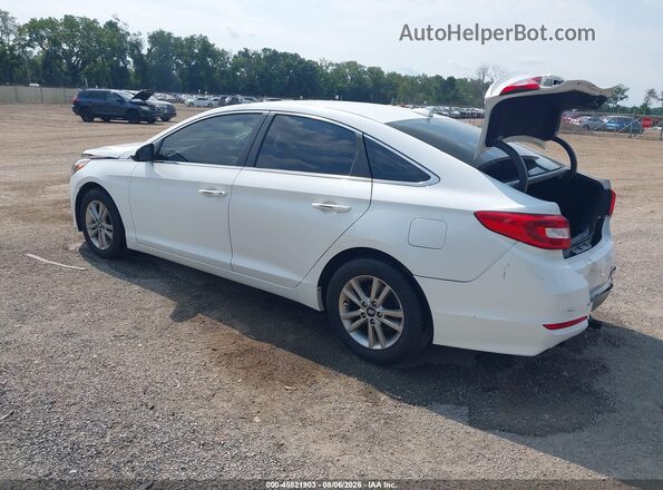 5NPE24AF3GH400206 2016 HYUNDAI SONATA White Tył lewy