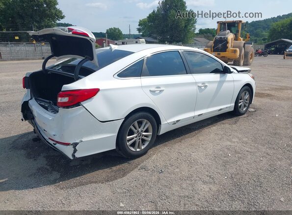 5NPE24AF3GH400206 2016 HYUNDAI SONATA White Tył prawy