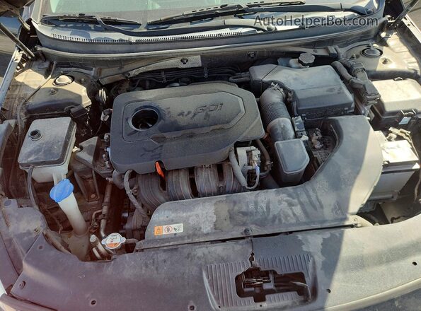 5NPE24AF3GH416793 2016 HYUNDAI SONATA Черный Вид задней части салона