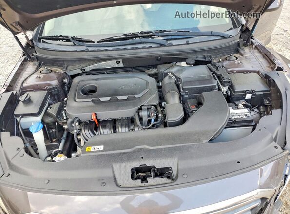 5NPE24AF3HH473691 2017 HYUNDAI SONATA Brown Rear interior view