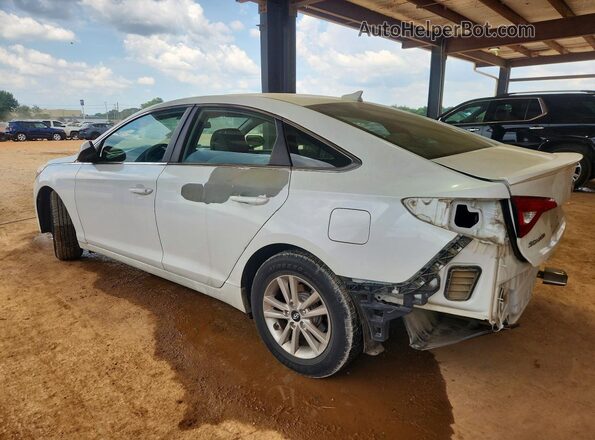 5NPE24AF3HH529080 2017 HYUNDAI SONATA White უკანა მარცხენა