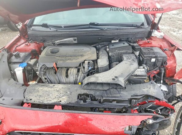 5NPE24AF3JH602180 2018 HYUNDAI SONATA Red Սալոնի հետևի տեսք