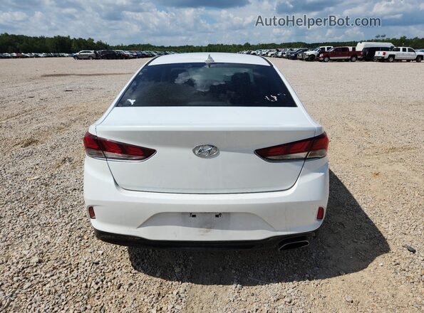 5NPE24AF3KH751724 2019 HYUNDAI SONATA White უკანა ხედი