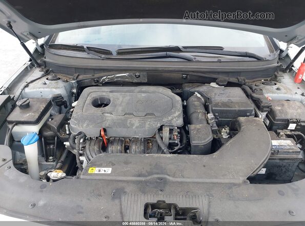 5NPE24AF4GH265236 2016 HYUNDAI SONATA Silver Widok z tyłu