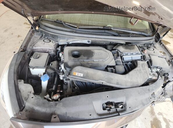 5NPE24AF4GH347287 2016 HYUNDAI SONATA Brown Rear interior view
