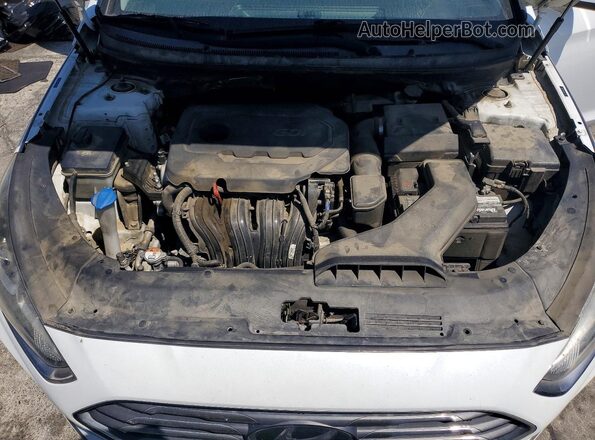 5NPE24AF4KH730090 2019 HYUNDAI SONATA Белый Вид задней части салона
