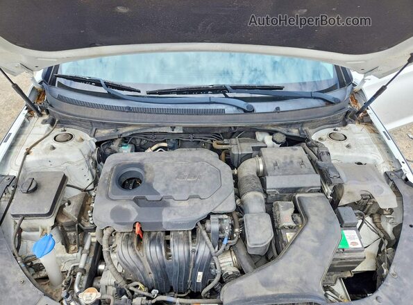 5NPE24AF4KH746306 2019 HYUNDAI SONATA White Вид задньої частини салону