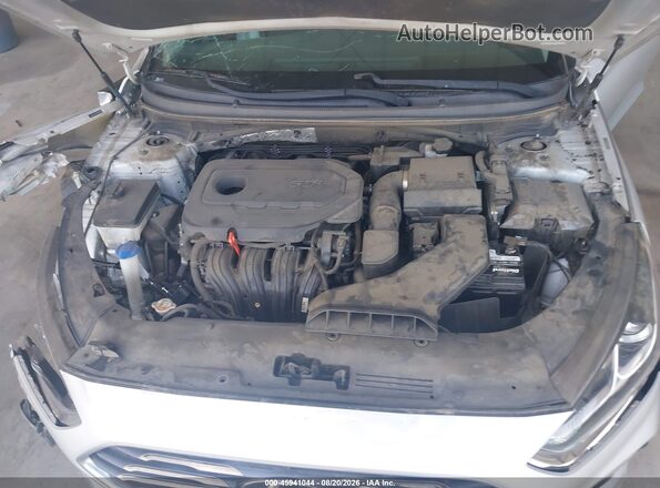 5NPE24AF4KH800834 2019 HYUNDAI SONATA Silver უკანა ხედი