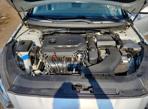 5NPE24AF4KH817052 2019 HYUNDAI SONATA Silver Widok wnętrza z tyłu