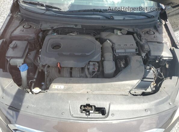 5NPE24AF5GH336217 2016 HYUNDAI SONATA Brown Widok wnętrza z tyłu