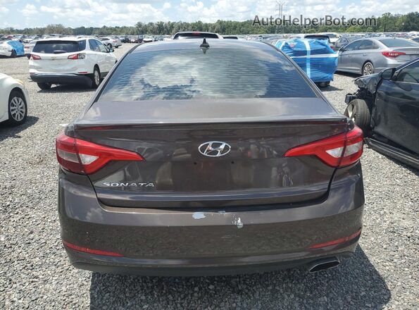 5NPE24AF5GH336217 2016 HYUNDAI SONATA Brown Widok z tyłu