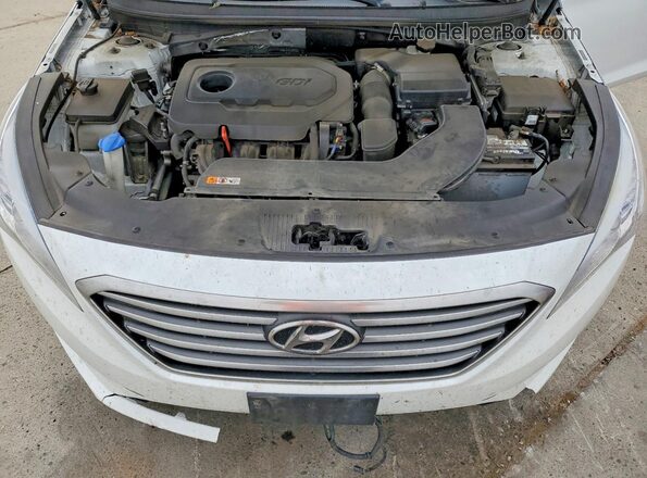 5NPE24AF5GH344849 2016 HYUNDAI SONATA White უკანა სალონის ხედი