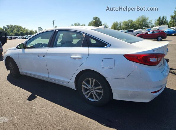 5NPE24AF5GH356791 2016 HYUNDAI SONATA White უკანა მარცხენა
