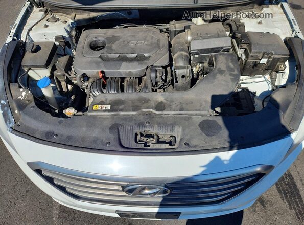 5NPE24AF5GH356791 2016 HYUNDAI SONATA White უკანა სალონის ხედი