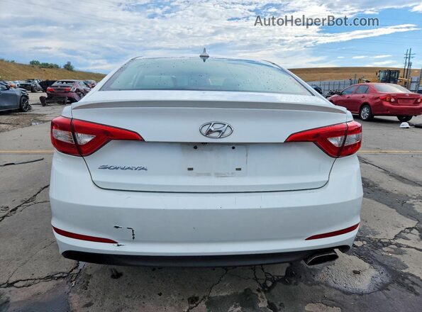 5NPE24AF5GH368066 2016 HYUNDAI SONATA White Вид ззаду