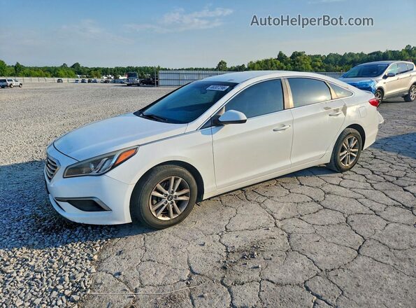 5NPE24AF5GH377219 2016 HYUNDAI SONATA White Tył lewy