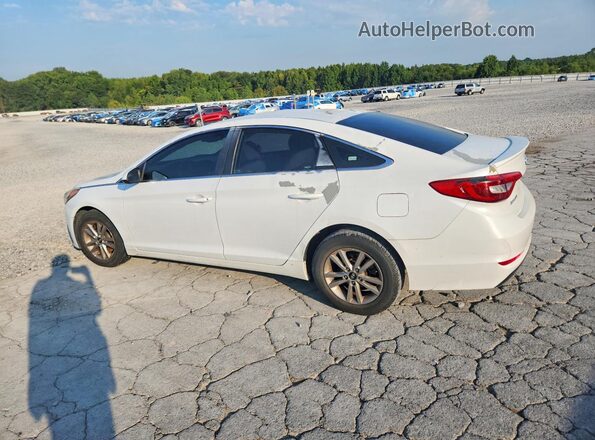 5NPE24AF5GH377219 2016 HYUNDAI SONATA White Tył prawy