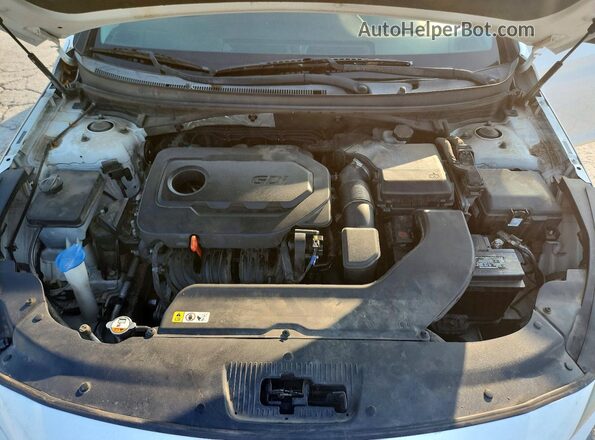 5NPE24AF5GH377219 2016 HYUNDAI SONATA White 
