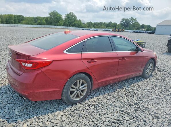 5NPE24AF5GH377690 2016 HYUNDAI SONATA Red Задня права чверть