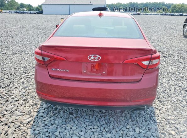 5NPE24AF5GH377690 2016 HYUNDAI SONATA Red Вид ззаду
