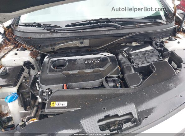 5NPE24AF5GH387734 2016 HYUNDAI SONATA Silver Widok z tyłu