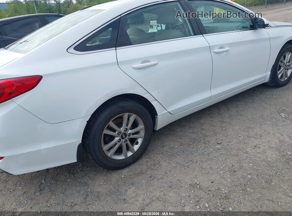 5NPE24AF5GH436298 2016 HYUNDAI SONATA White 
